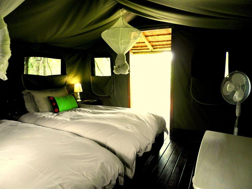 Shindzela Tented Camp Тімбаваті-Ґейм-Резерв Екстер'єр фото