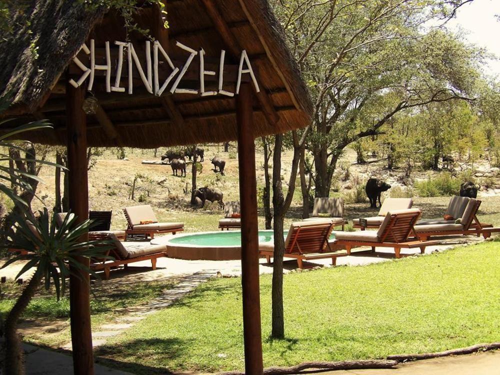 Shindzela Tented Camp Тімбаваті-Ґейм-Резерв Екстер'єр фото
