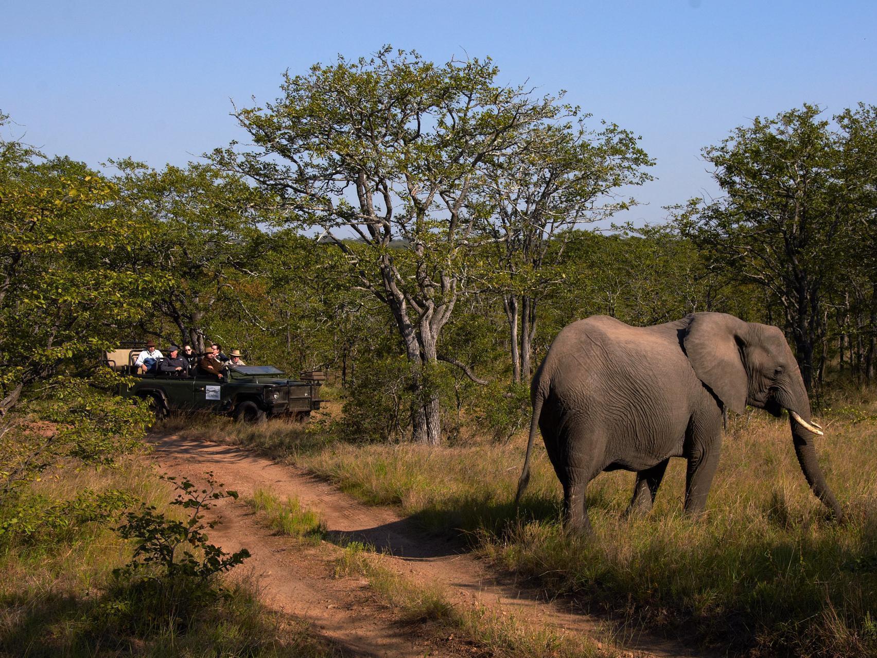 Shindzela Tented Camp Тімбаваті-Ґейм-Резерв Екстер'єр фото