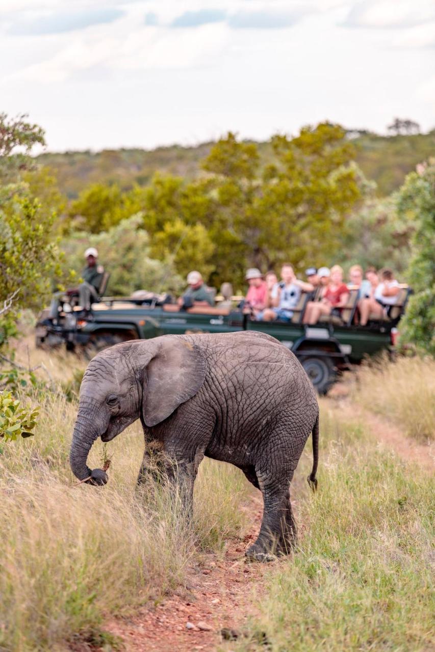 Shindzela Tented Camp Тімбаваті-Ґейм-Резерв Екстер'єр фото