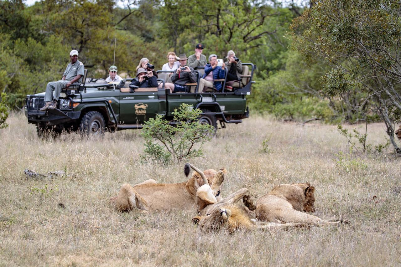Shindzela Tented Camp Тімбаваті-Ґейм-Резерв Екстер'єр фото