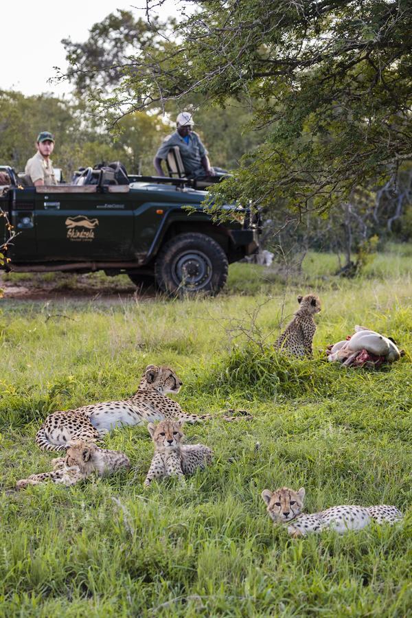 Shindzela Tented Camp Тімбаваті-Ґейм-Резерв Екстер'єр фото