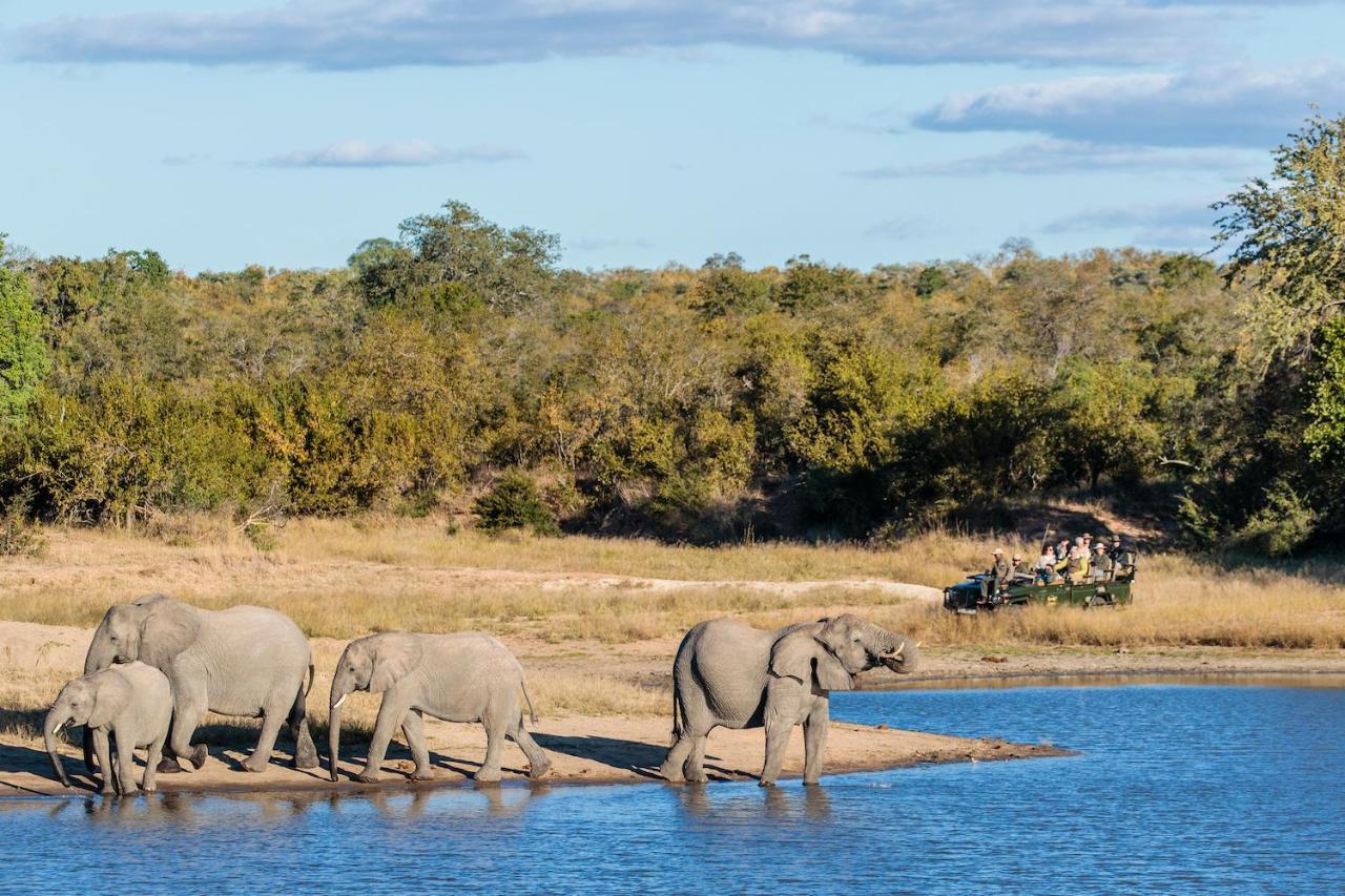 Shindzela Tented Camp Тімбаваті-Ґейм-Резерв Екстер'єр фото