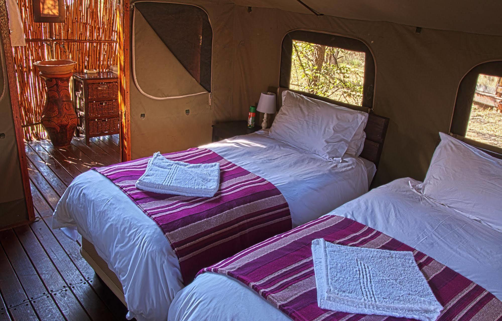 Shindzela Tented Camp Тімбаваті-Ґейм-Резерв Екстер'єр фото