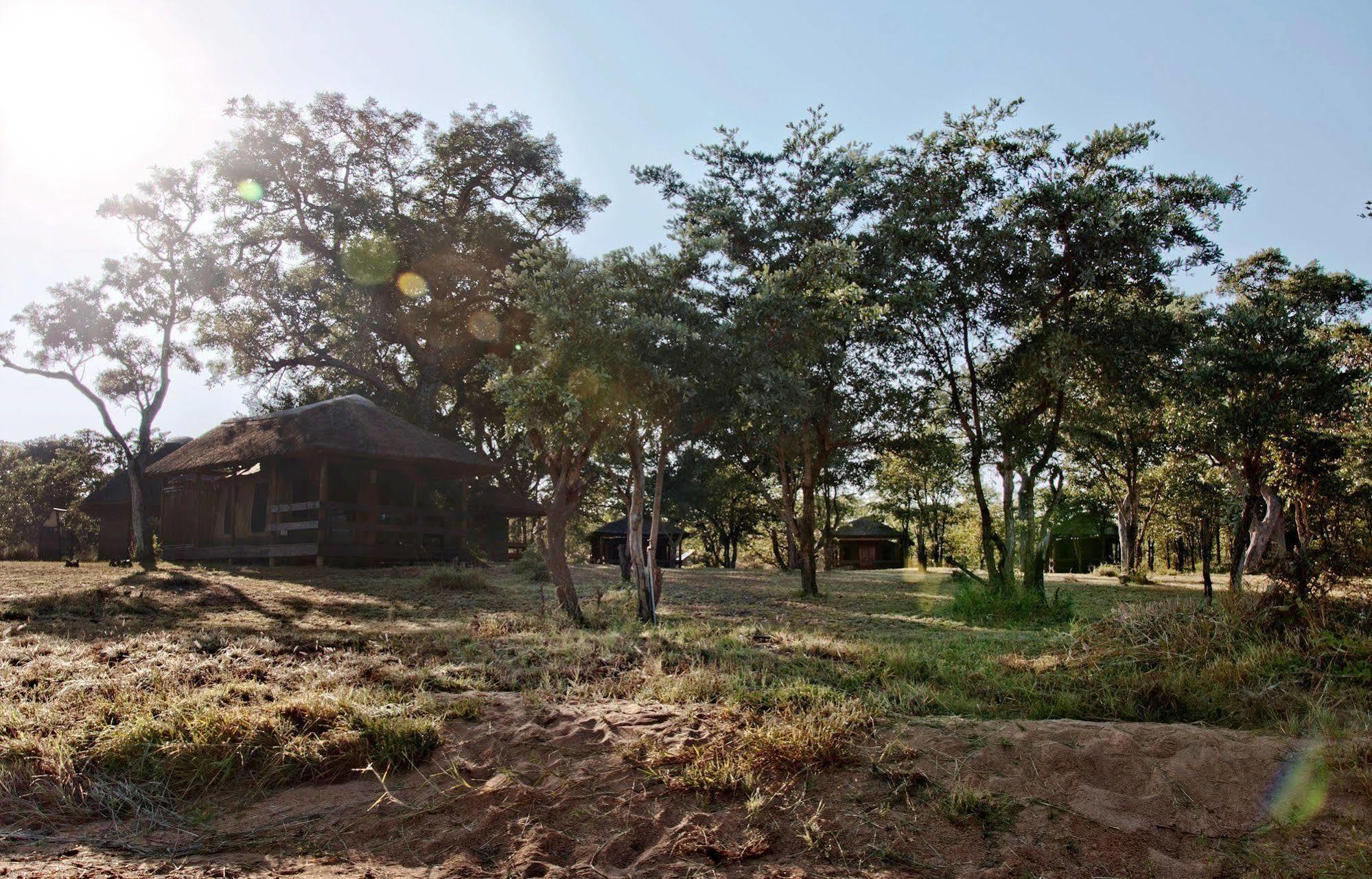 Shindzela Tented Camp Тімбаваті-Ґейм-Резерв Екстер'єр фото