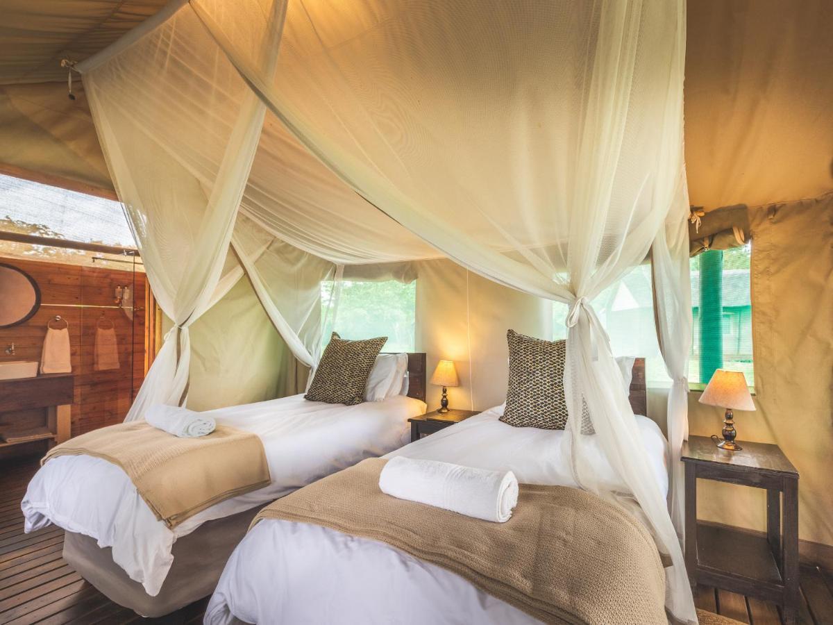 Shindzela Tented Camp Тімбаваті-Ґейм-Резерв Екстер'єр фото