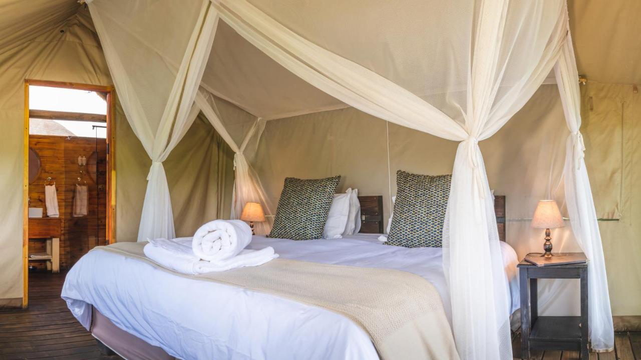 Shindzela Tented Camp Тімбаваті-Ґейм-Резерв Екстер'єр фото