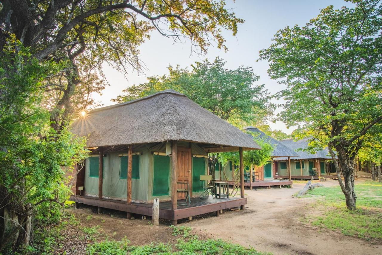Shindzela Tented Camp Тімбаваті-Ґейм-Резерв Екстер'єр фото