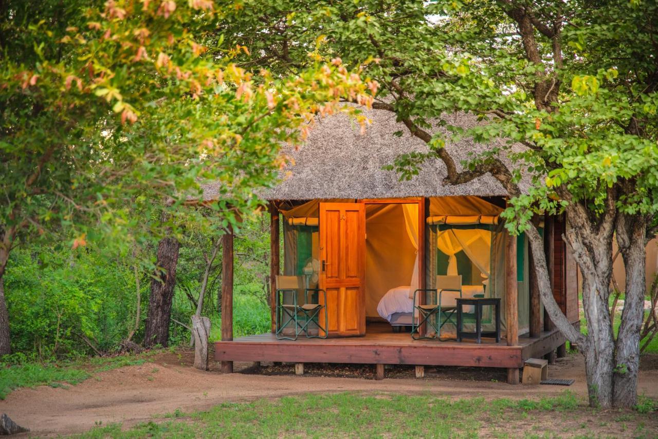 Shindzela Tented Camp Тімбаваті-Ґейм-Резерв Екстер'єр фото
