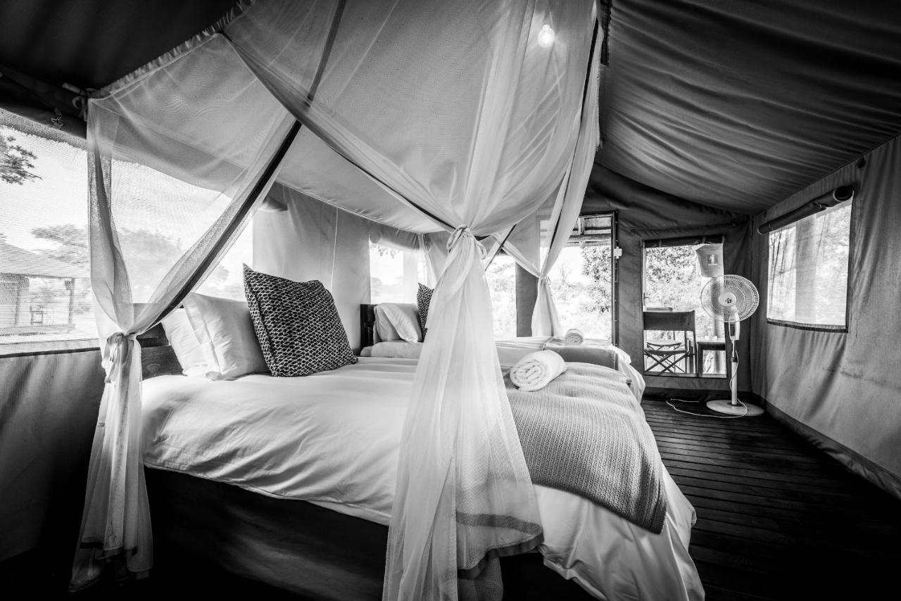Shindzela Tented Camp Тімбаваті-Ґейм-Резерв Екстер'єр фото