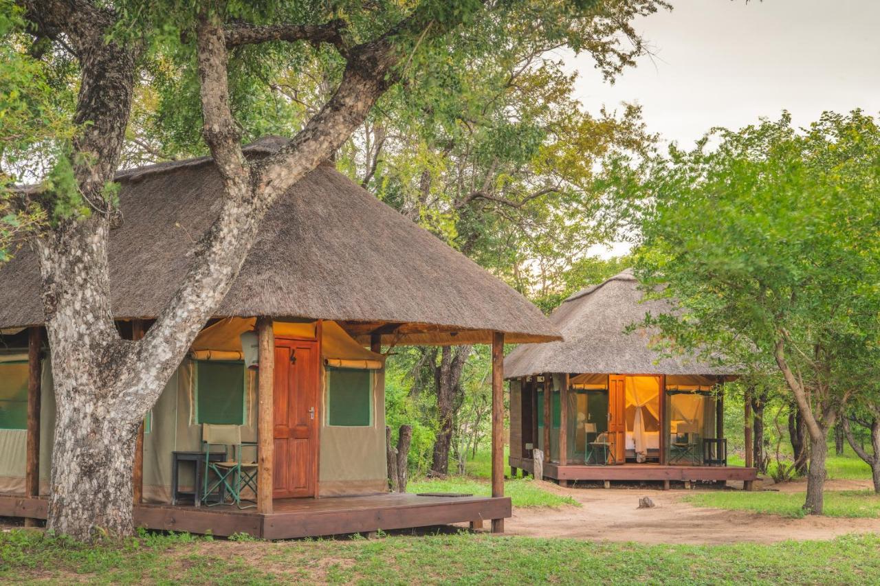 Shindzela Tented Camp Тімбаваті-Ґейм-Резерв Екстер'єр фото