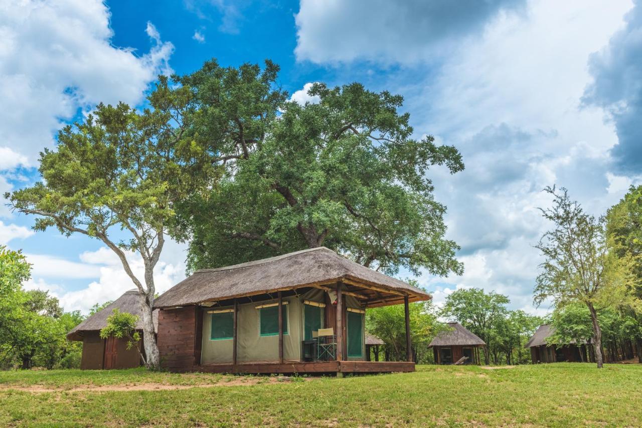 Shindzela Tented Camp Тімбаваті-Ґейм-Резерв Екстер'єр фото